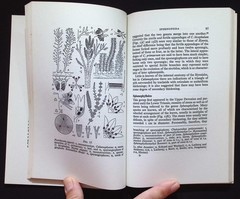 The Morphology of Pteridophytes: Structure of Ferns & Allied Plants K.R. Sporne