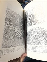 Plant Anatomy Esau, Katherine 1965 Illustrated Botany Textbook Vtg 1960s Rare