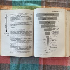 Conceptual Physics, 2nd Edition by Paul G. Hewitt (1974 HC Little Brown Text)