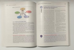 HUMAN RESOURCE MANAGEMENT 16 EDITION JACKSON, MATHIS, MEGLICH, VALENTINE