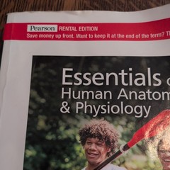 Essentials of Human Anatomy and – Paperback, by Suzanne Keller Acceptable 13 ed