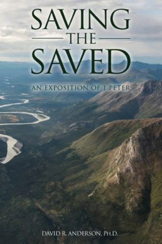 Saving the Saved, Anderson PH D, David R, 9781733622332