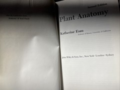 Plant Anatomy Esau, Katherine 1965 Illustrated Botany Textbook Vtg 1960s Rare