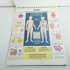 The Anatomical Chart Series Classic Library Edition 11×15 inch Desk Size Version