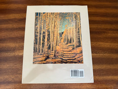 Life and Art of Joseph Amadeus Fleck (2006, Hardcover) FREE SHIPPING