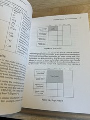 Sei Series in Software Engineering Ser.: CMMI Distilled Second Edition
