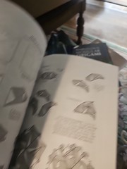 Marvelous Modular Origami And Exquisite Origami Paperbacks Meenakshi Mukerji P2