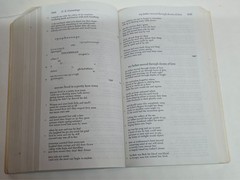Vintage 1983 The Norton Anthology of Poetry, Third Edition softcover, great cond
