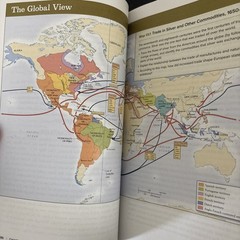 Worlds Together, Worlds Apart : A History of the World from the Beginnings