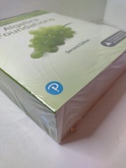 Algebra Foundations 2nd Edition W/Answers Instructor’s Review Copy
