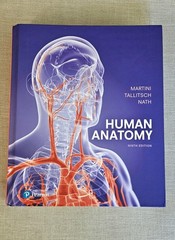 Human Anatomy Robert Tallitsch, Judi Nath & Frederic H. Martini