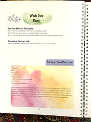 Waldorf Essentials Kindergarten Year One by Melisa Nielsen 2021 Spiral Paperback