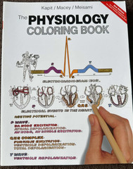 Physiology Coloring Book 2nd Ed Kapit Anatomy Study Guide Like New No Colouring