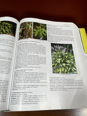 The Hostapedia: An Encyclopedia of Hostas by Mark R. Zilis