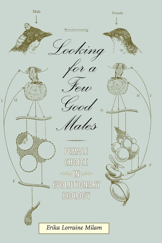 Looking for a Few Good Males: Female Choice in Evolutionary Biol