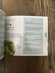 Essential Oil Magic Easy To Use Guidebook + Tearaway Protocols 1st Ed. EXCELLENT
