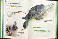 2nd Grade – Scott Foresman SCIENCE (STUDENT TEXTBOOK) (2006, Pearson)