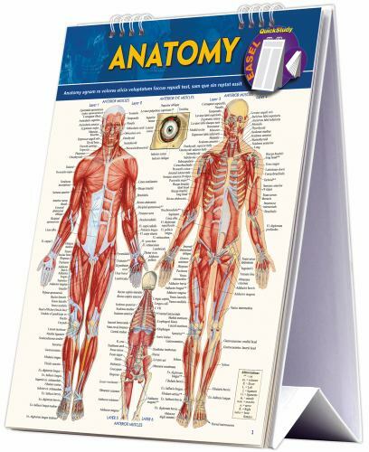 Anatomy Easel Book: a QuickStudy Reference T- Perez, 9781423225836, spiral-bound