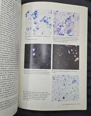 Artists Pigments a Handbook of Their History and Characteristics Vol. 2 Roy HB