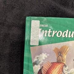 McGraw Hill Glencoe’s Introducing Art Student Textbook