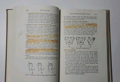 Mortuary Science Restorative Art By J Sheridan Mayer 1990 Hardcover