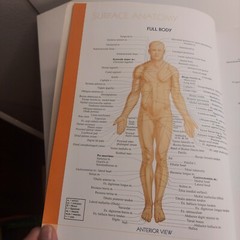 QuickStudy Atlas of Human Anatomy Vincent Perez Health Home School Good