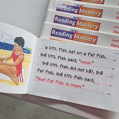 SRA/McGraw-Hill Reading Mastery Classic Ed Level 1 Storybooks 1-3 2003