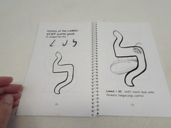 Hebrew Letters & How They Grew The Alef Bet PB Book A J Cannon-Dalbey Children