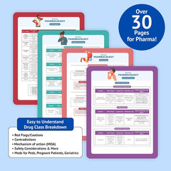 The Essential Family Nurse Practitioner Guide