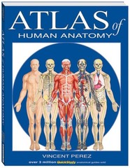 Atlas of Human Anatomy by Vincent Perez: New