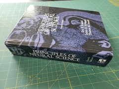 Principles of Neural Science, Eric R. Kandel,James H. Schwartz,Thomas M. Jessell