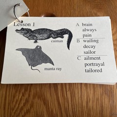 IEW Phonetic Zoo Lesson Cards & Spelling Cards Homeschool Lists
