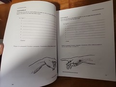 Medieval History-Based Writing Lessons Teacher’s Manual Lori Verstegen Spiral