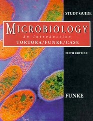 Study Guide for Microbiology : An Introduction Paperback Berdell