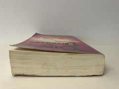 The Cure for All Diseases With Many Case Histories by Hulda Regehr Clark 2005