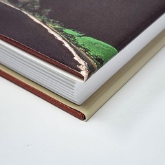 Loyal to the Land The Legendary Parker Ranch 1950-1970 Volume 2 Senior Stewards
