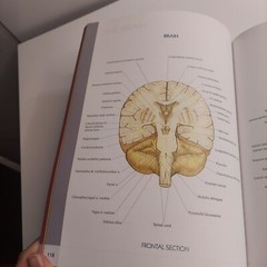 QuickStudy Atlas of Human Anatomy Vincent Perez Health Home School Good