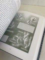 Wooden Bks.: Sciencia: Mathematics, Physics, Chemistry, Biology, and Astronomy