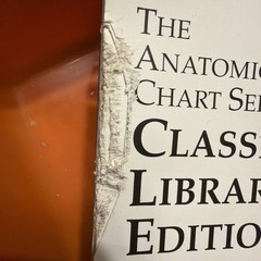 The Anatomical Chart Series – Classic Library Edition Desk Size Version.