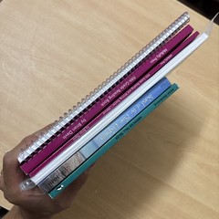 McRuffy Press Fifth Grade Reading and Writing Curriculum Complete Set Book Units