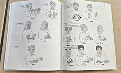 Big Lot Learning American Sign Language Books and Memory Game for Beginners
