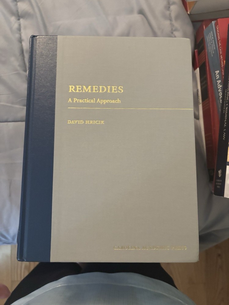 Remedies : A Practical Approach by David Hricik (2020, Hardcover)