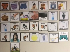 Autism Visual Communication Cards lot of 407 PECS Book Style Real Photos Icons