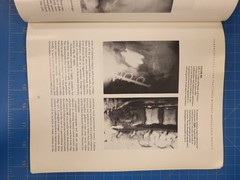 Thoracolumbar Spine Fractures Without Neurologic Deficit E Shannon Stauffer AAOS