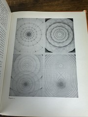 PROJECTIVE GEOMETRY CREATIVE POLARITIES IN SPACE AND TIME BY OLIVE WHICHER 1971