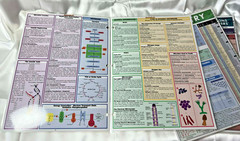 BarCharts Inc Quick Study Academic Lot of 3 Chemistry(2) & Microbiology