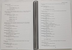 Catalog leaf beetles America north of Mexico + Host Plants Clark Coleopterists