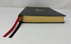 Biblia Sacra Latin Vulgate Clementine Edition Catholic Illustrated Bible Reprint