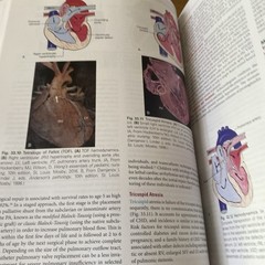 McCance & Huether’s – Hardcover, by Rogers DNP APRN – Very Good