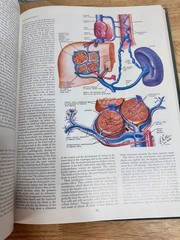 The CIBA Collection Of Medical Illustrations Volume 3 Digestive System 1964